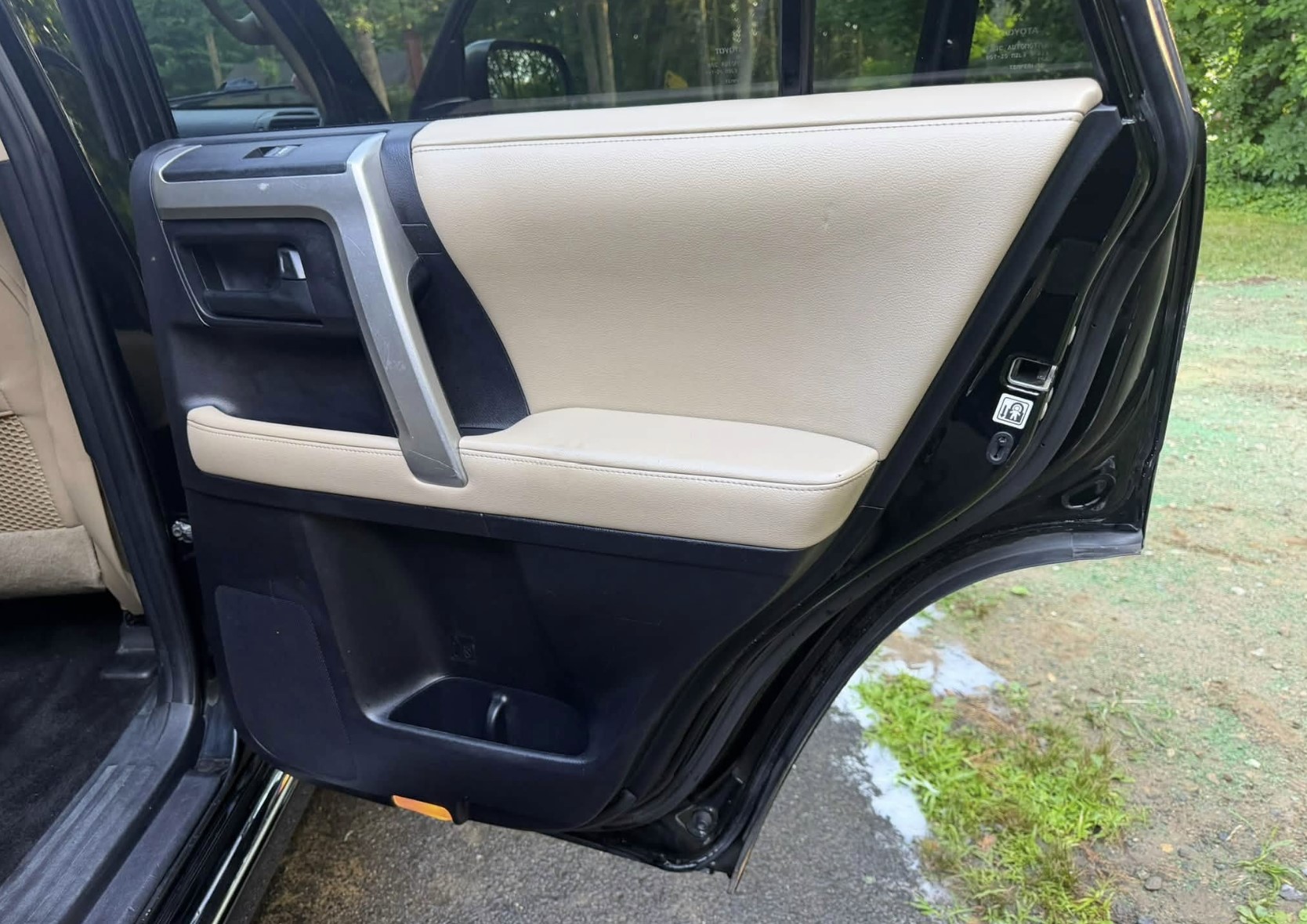 Cleaned and protected interior door panel after an interior detail